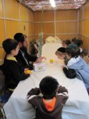 Rabbi shows us a real Lulav and Etrog in the Sukkah! 