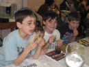 Model Seder