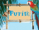 Grand Purim Luau!